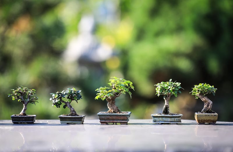Foliage Artistry